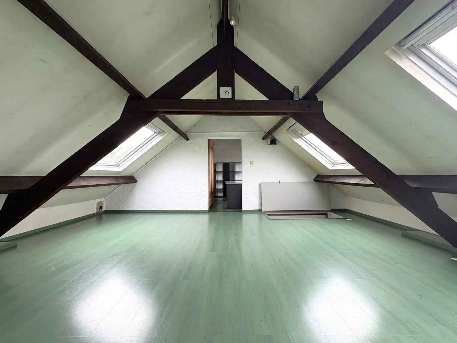 Huis te koop foto 23