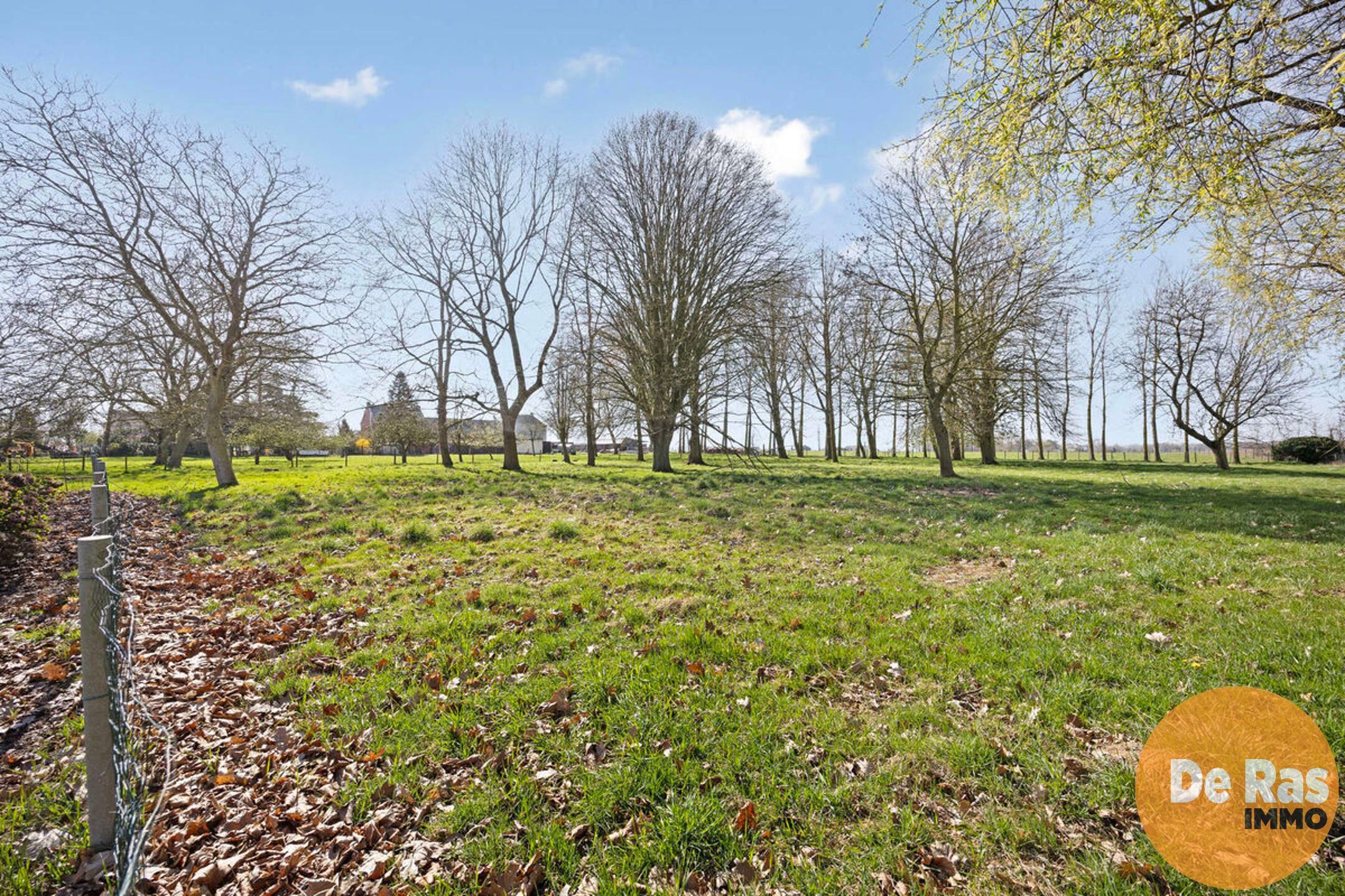 WOUBRECHTEGEM- Karaktervolle renovatiewoning op 1ha 25a 50ca foto 32