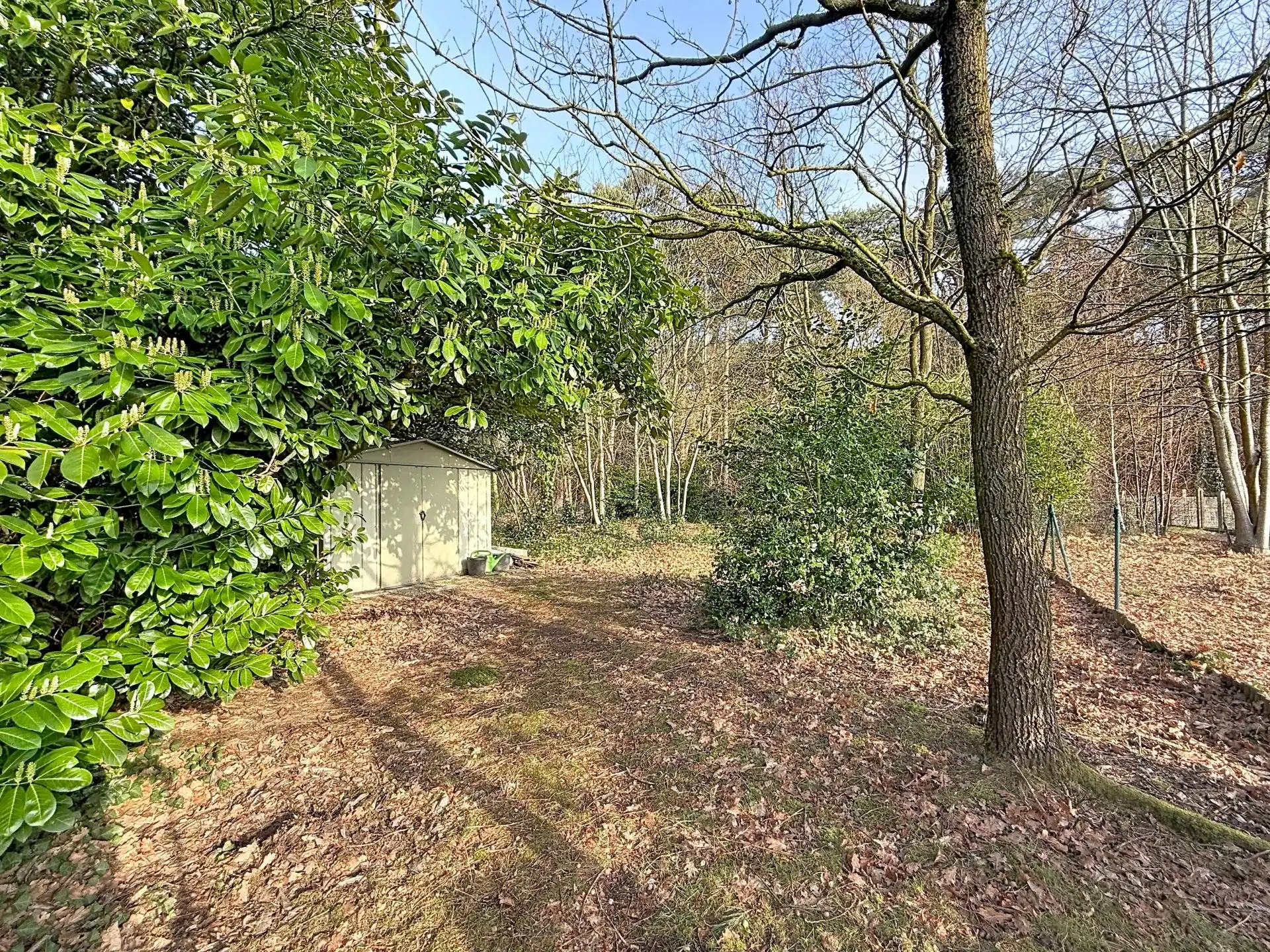 Verzorgde woning met 3 slaapkamers op mooi perceel. foto 27