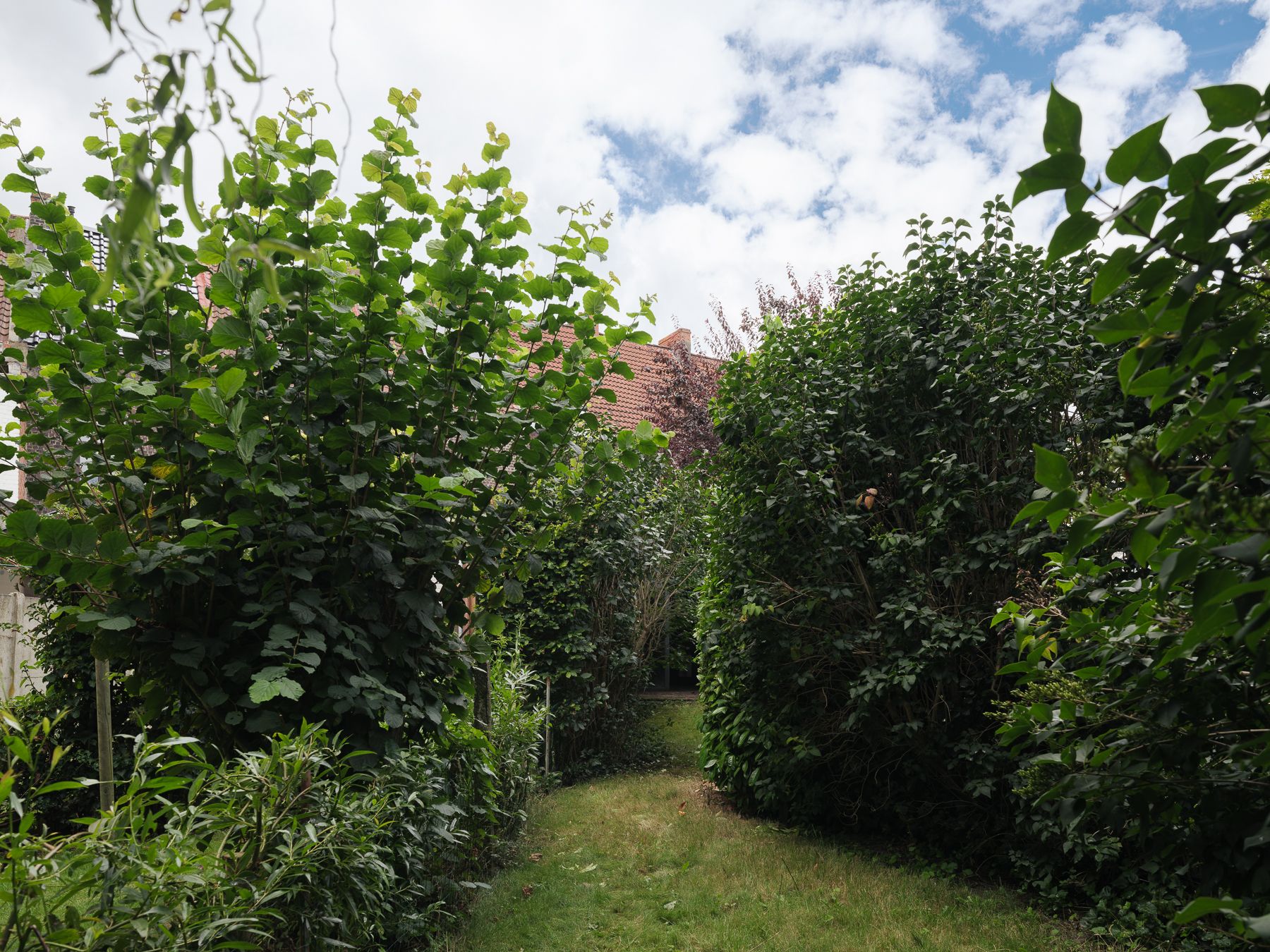 Uitstekend gelegen woning met leuke tuin foto 12