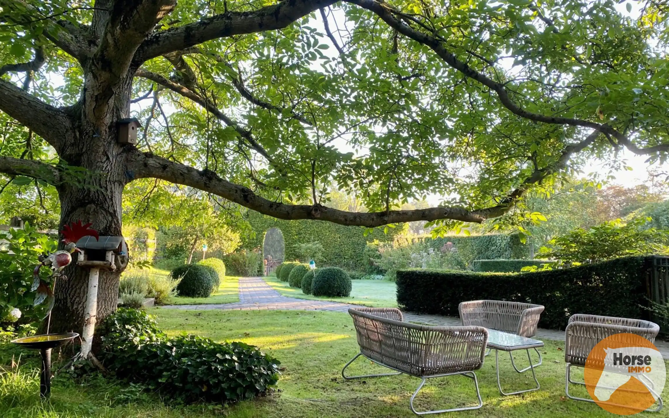 HALLE – Charmante woning met stallen op 1,15ha aan Hallerbos foto 5