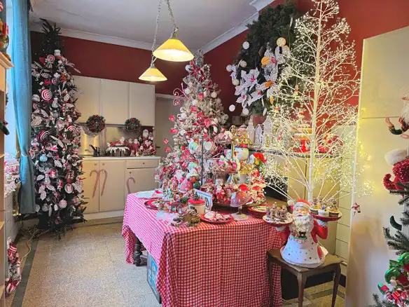 HANDELSPAND MET WOONST OP TOPLOCATIE TE DIEST! foto 30