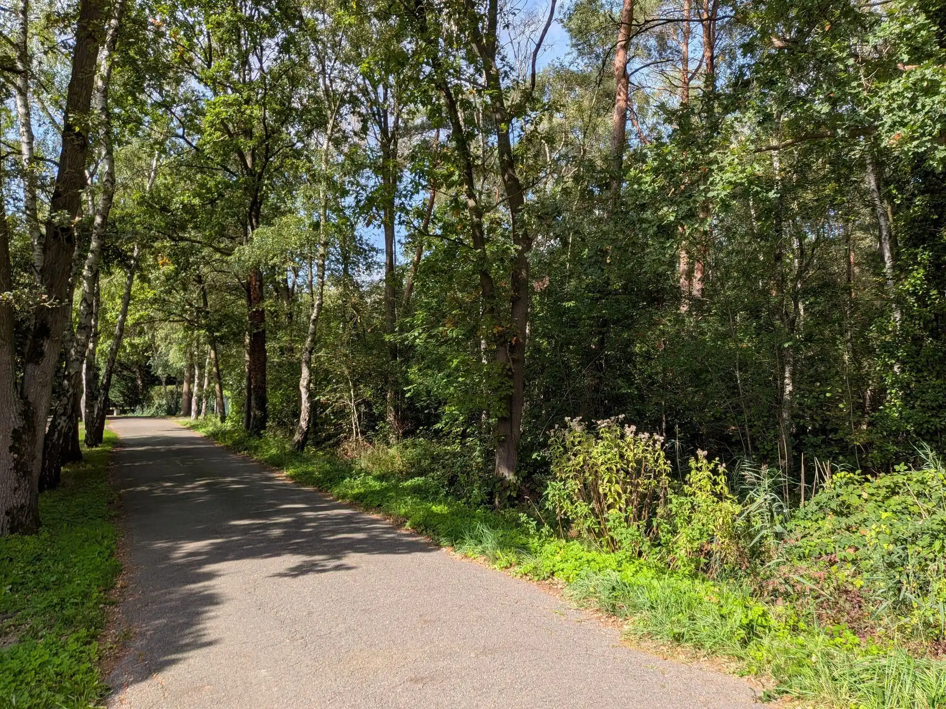 Bouwgrond in wijk "De Zeurt" foto 5