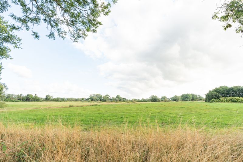 Landbouwgrond 71515 m² - vrij van pacht eind 2027 !!! foto 13