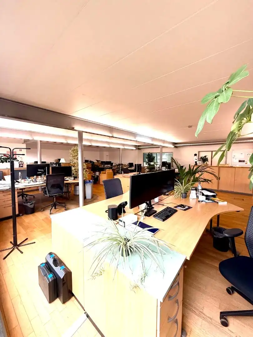 Handelsgelijkvloers met depot en weldra 2 lofts of 4 appartementen. foto 15