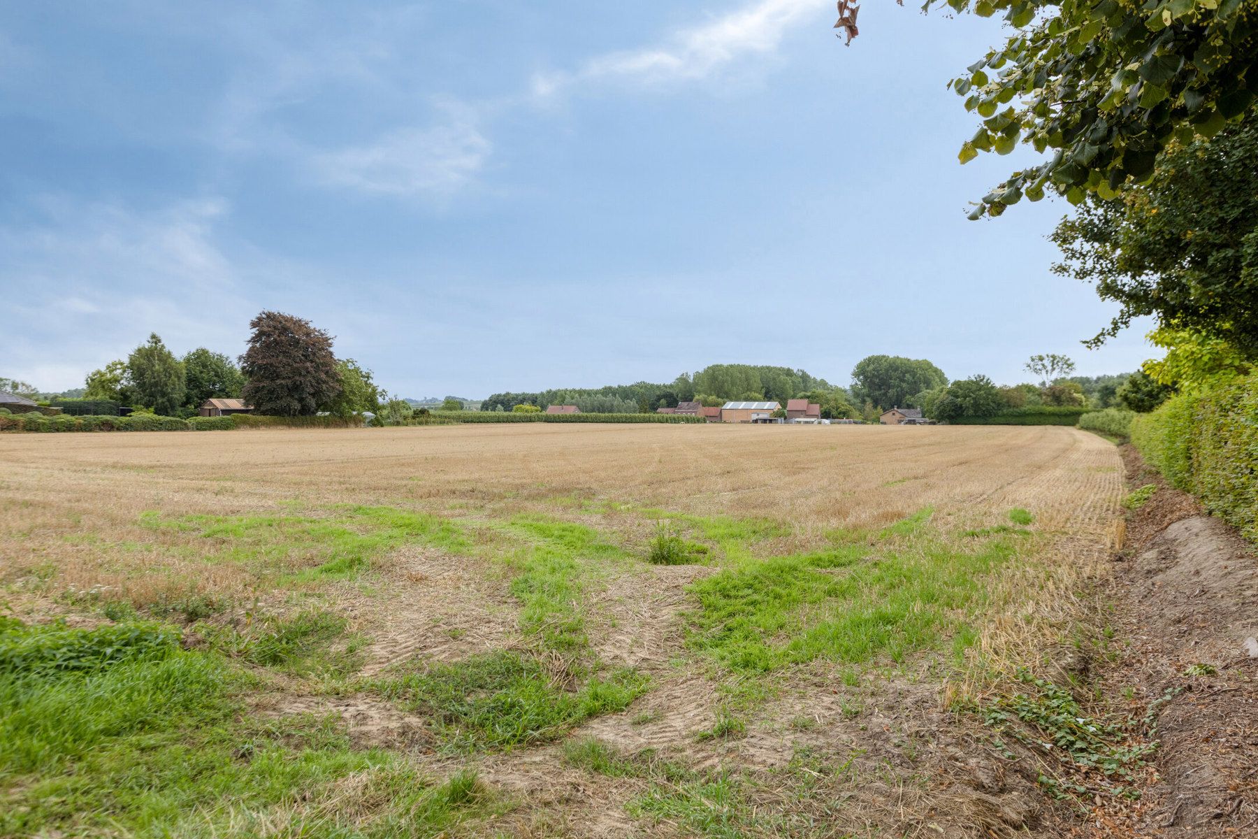 OPENDEURDAG 15/11 van 10 tot 12 UUR foto 37