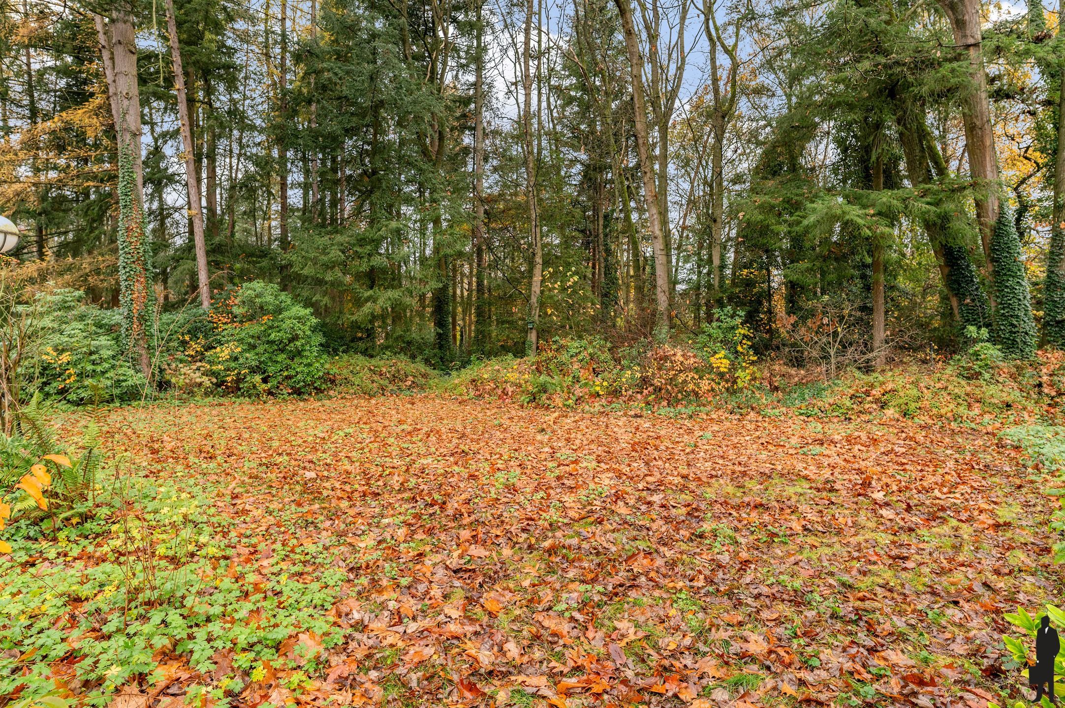 Residentieel gelegen te renoveren villa op ca. 2415m². foto 23