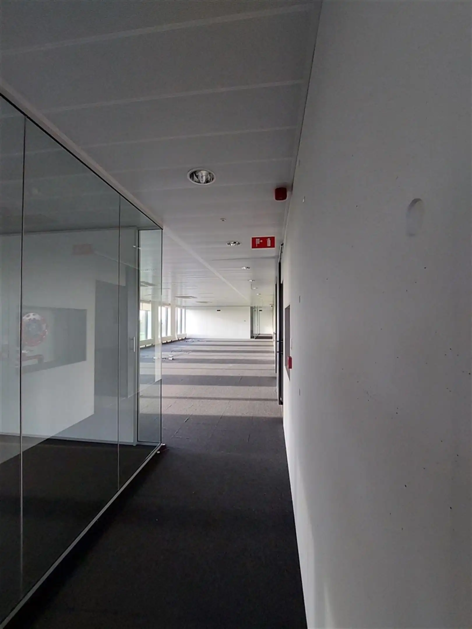 KRUISKOUTER 1: vanaf 431m² foto 5