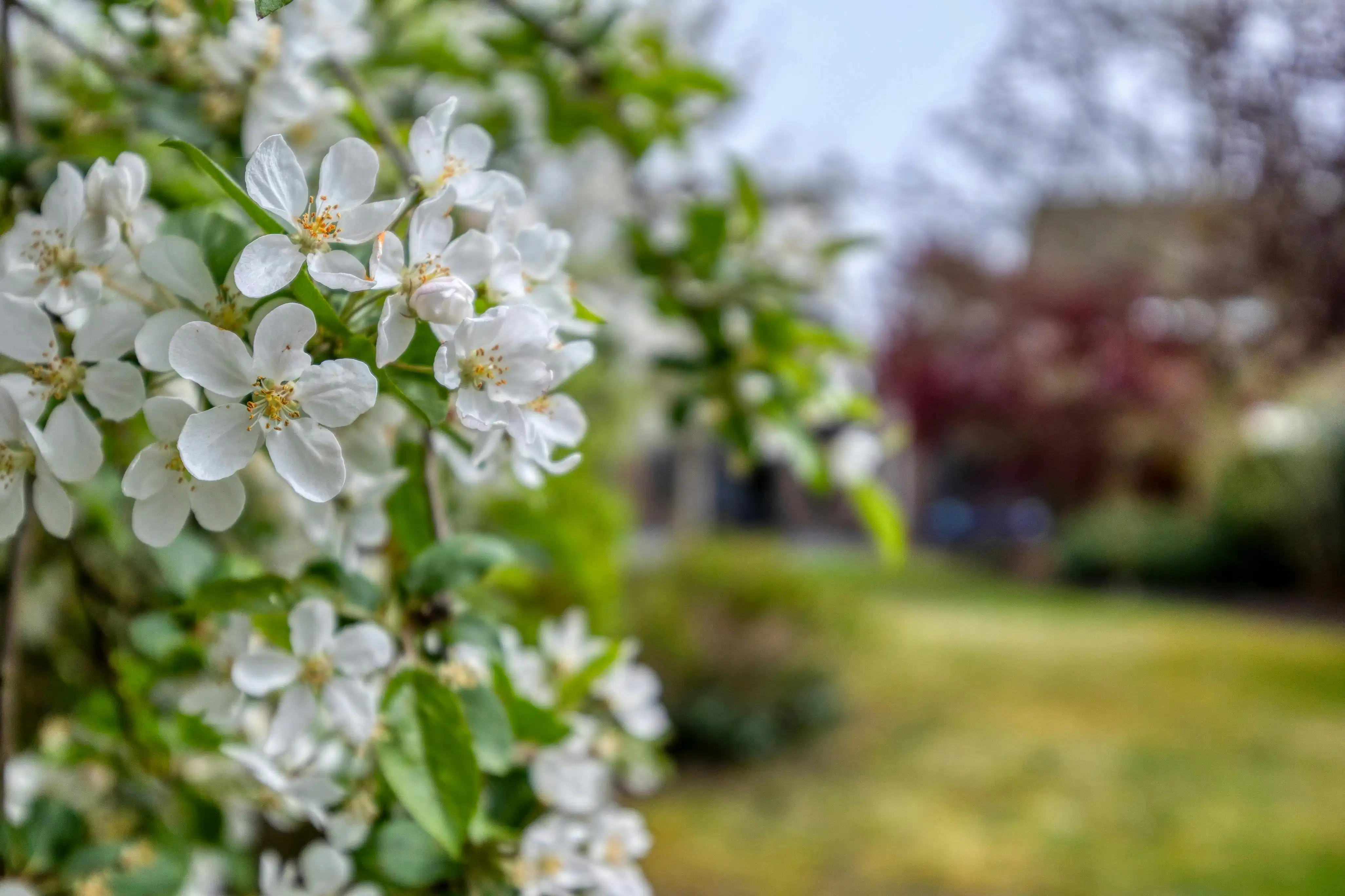 Instapklare woning met 4 slaapkamers te koop in Loenhout! foto 41