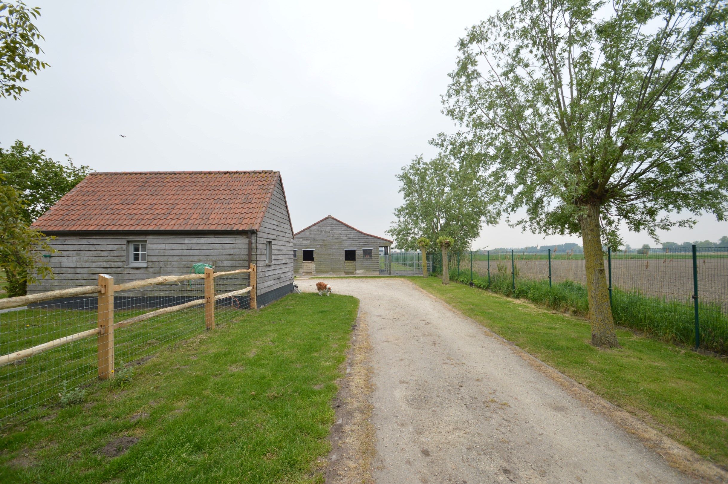 Fermette met bijgebouwen in het prachtige Damme foto 6