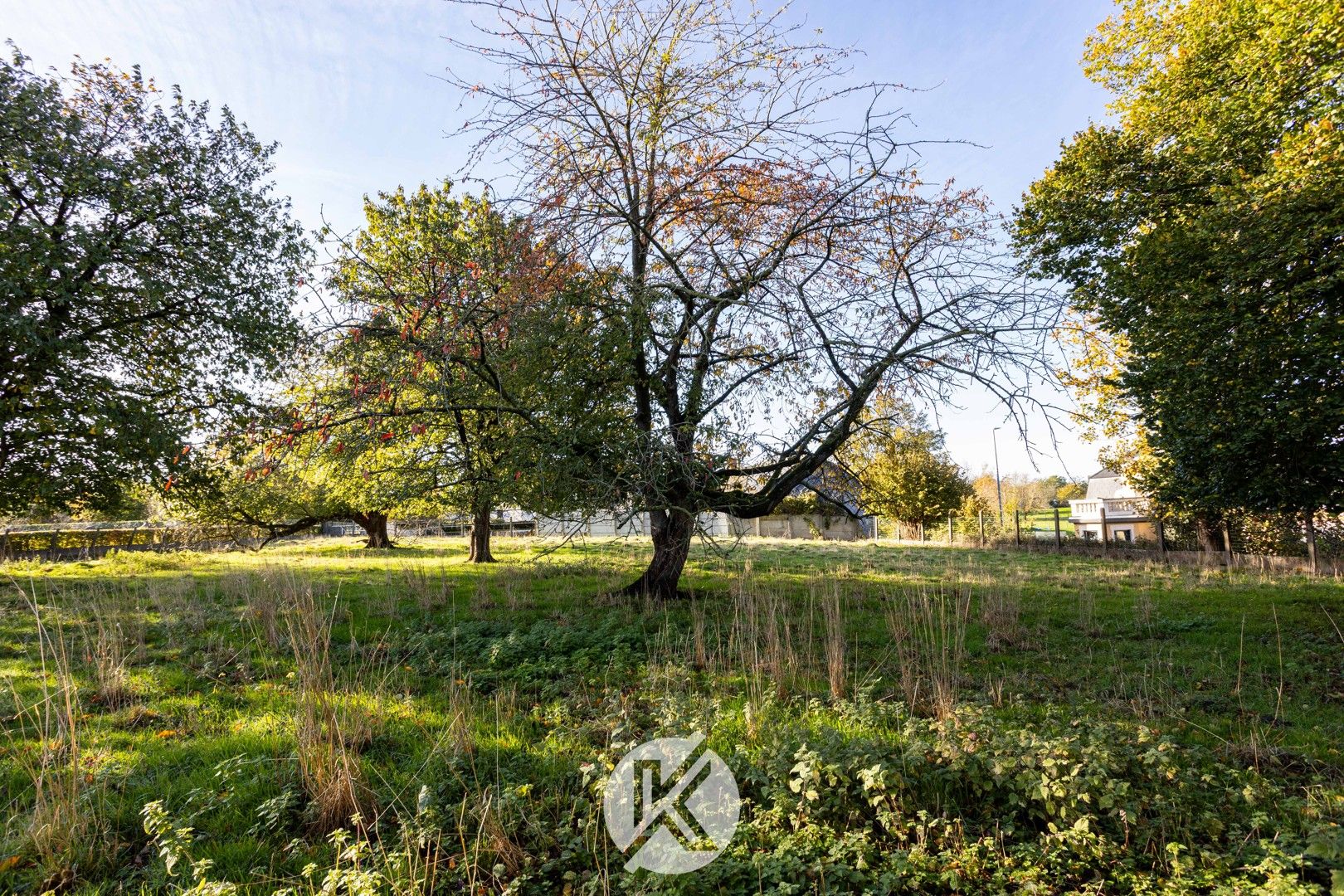 Tijdloze pastorie met historische allure op 4.057 m² foto 28