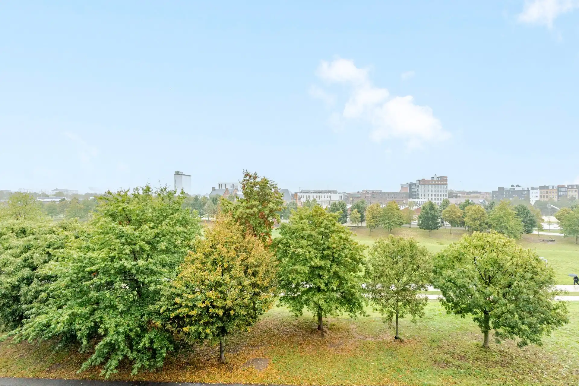 Lichtrijk appartement met 2 slaapkamers en uitzicht op Park Spoor Noord foto 4