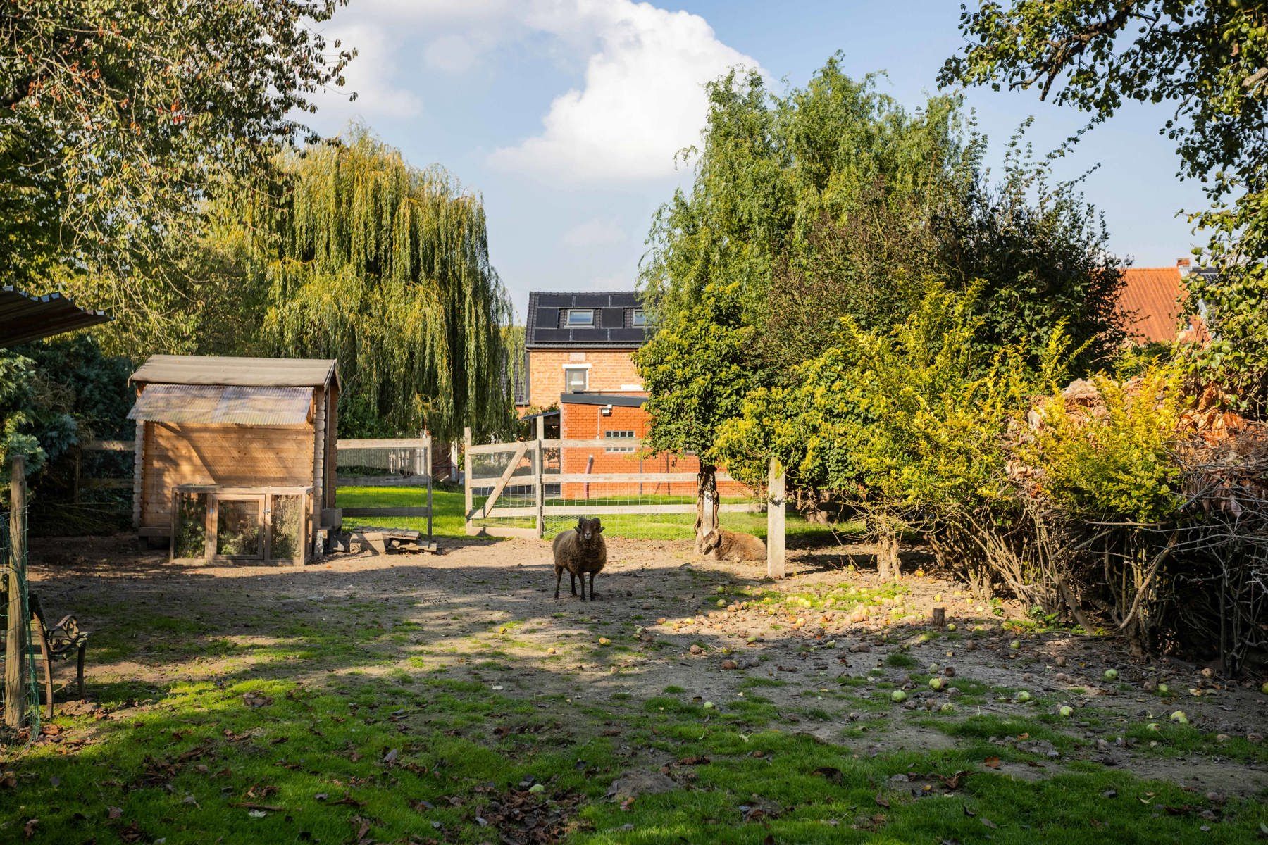 Veelzijdige (dubbele) woning met loods op ruim perceel foto 18