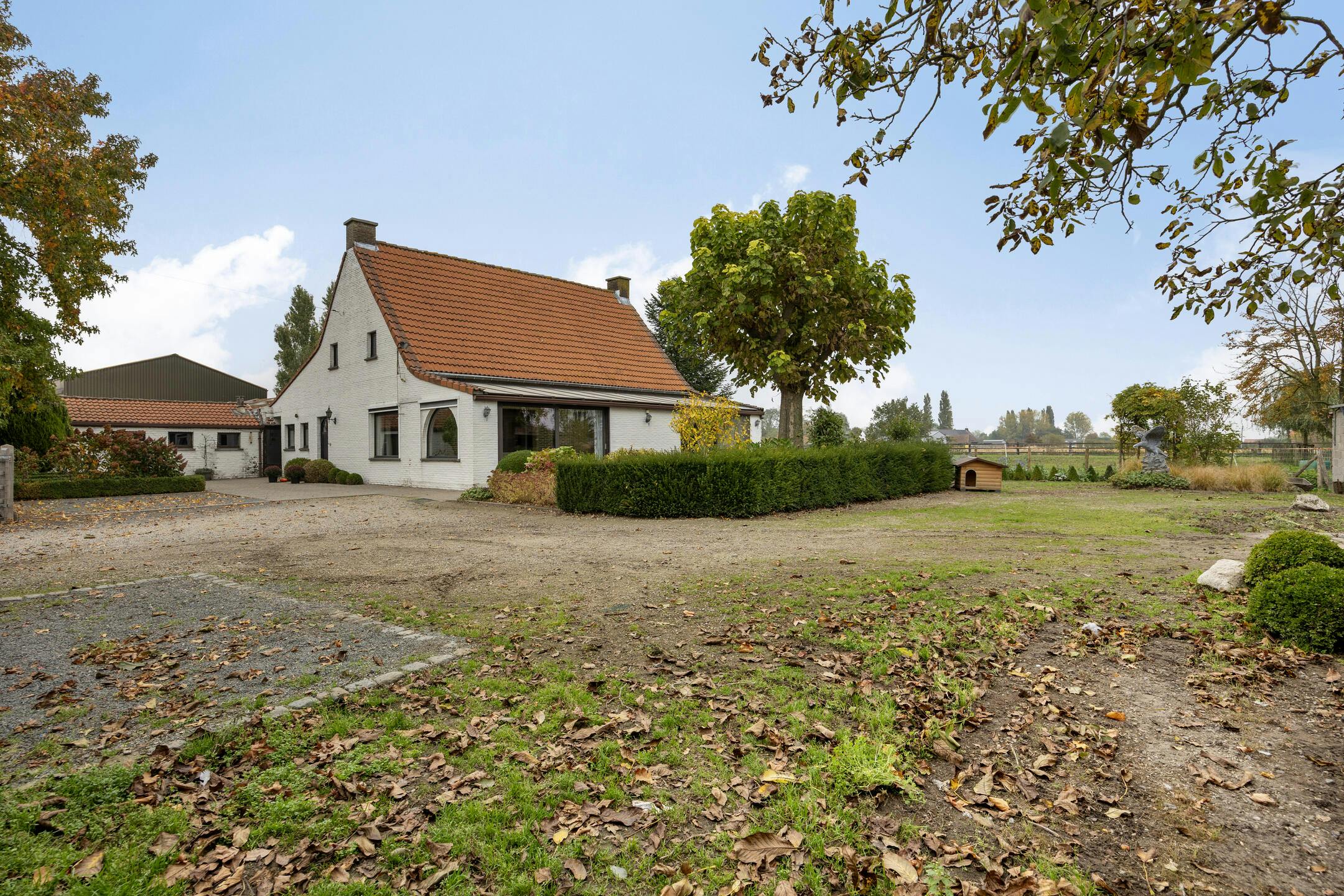 Te renoveren hoeve en bijgebouwen met charme en potentieel foto 13
