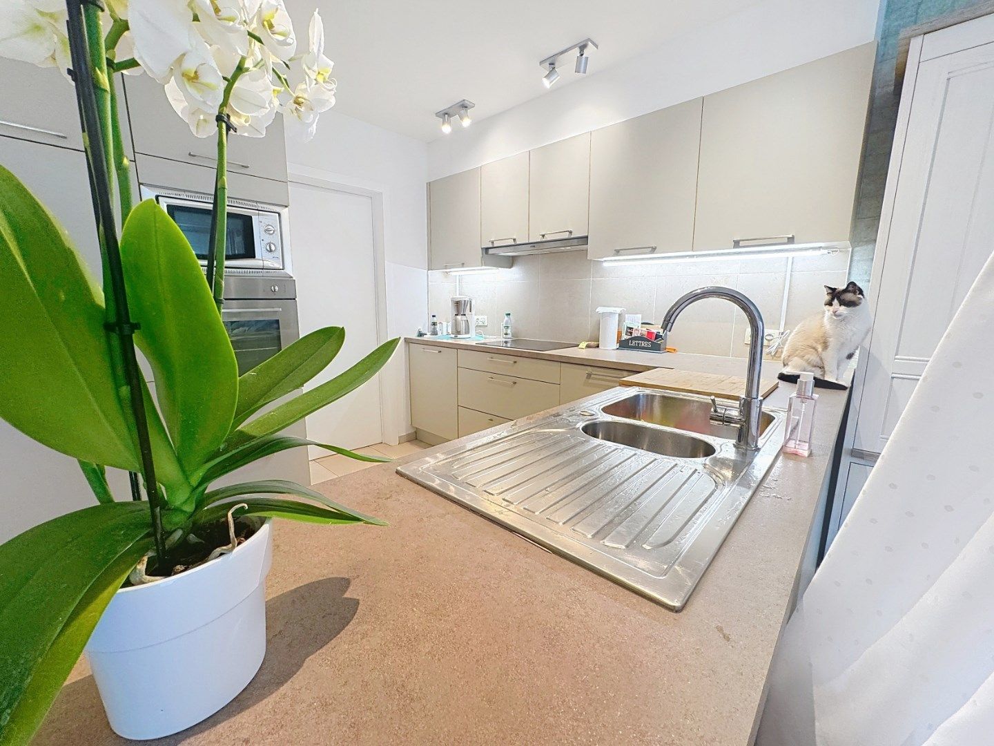 Ruim gelijkvloers appartement op uiterst centrale ligging foto 5