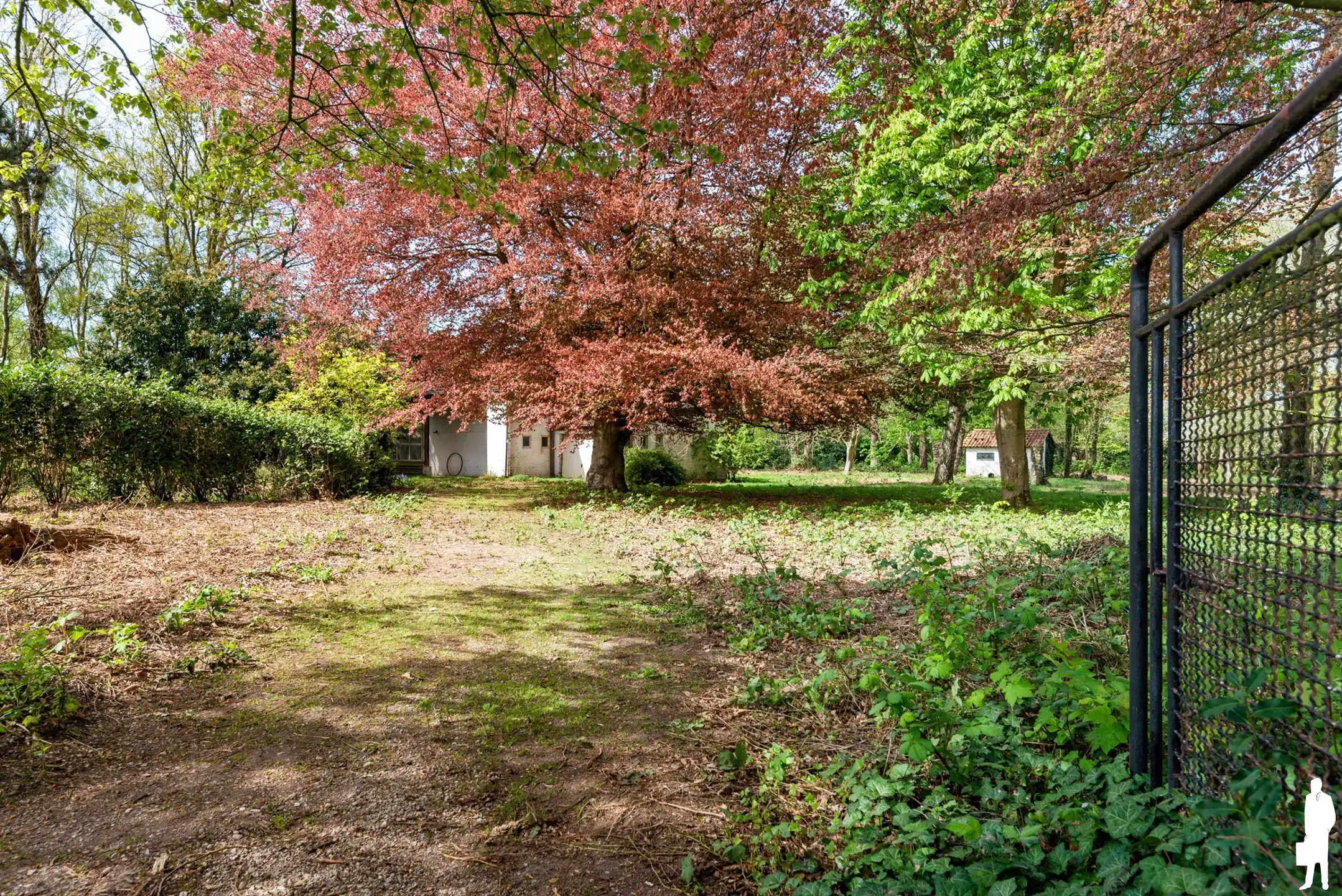 Fantastische bouwgrond (ca6685m²) met prachtige parktuin/bos foto 8