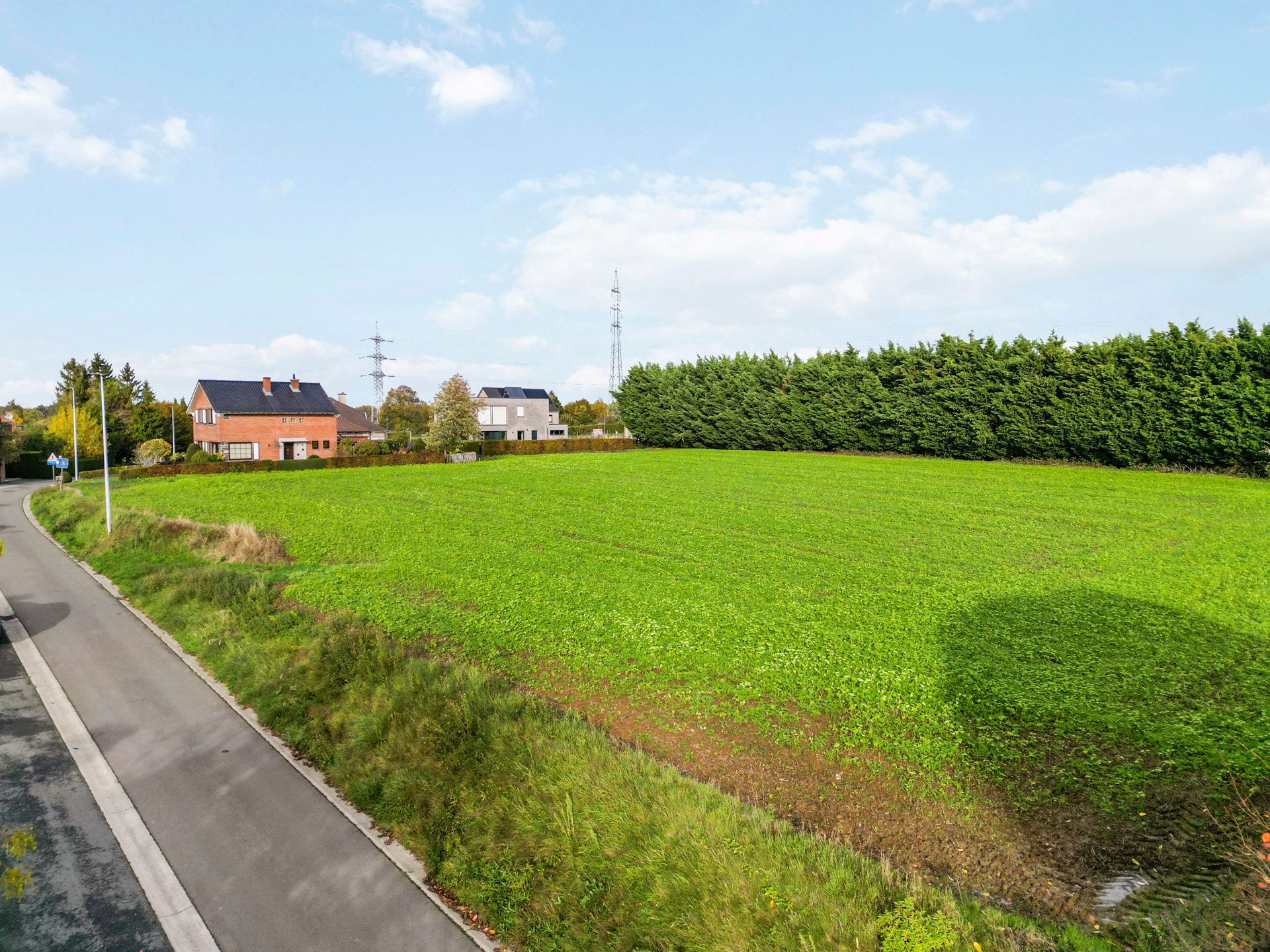 🌳 Investeringsperceel van 50a met verkavelingspotentieel foto 2