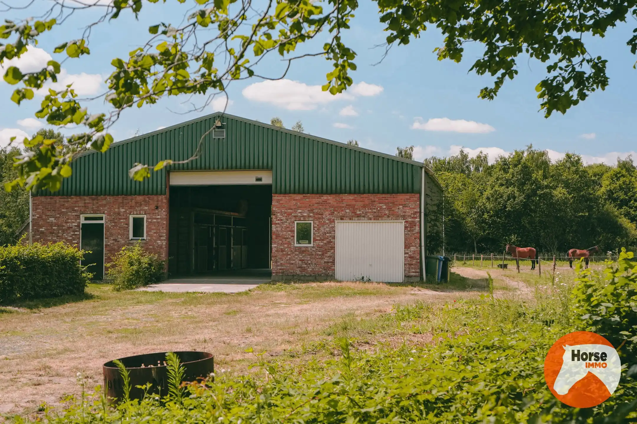 AXEL - Hoeve op een goede locatie met paardenfaciliteiten foto 9