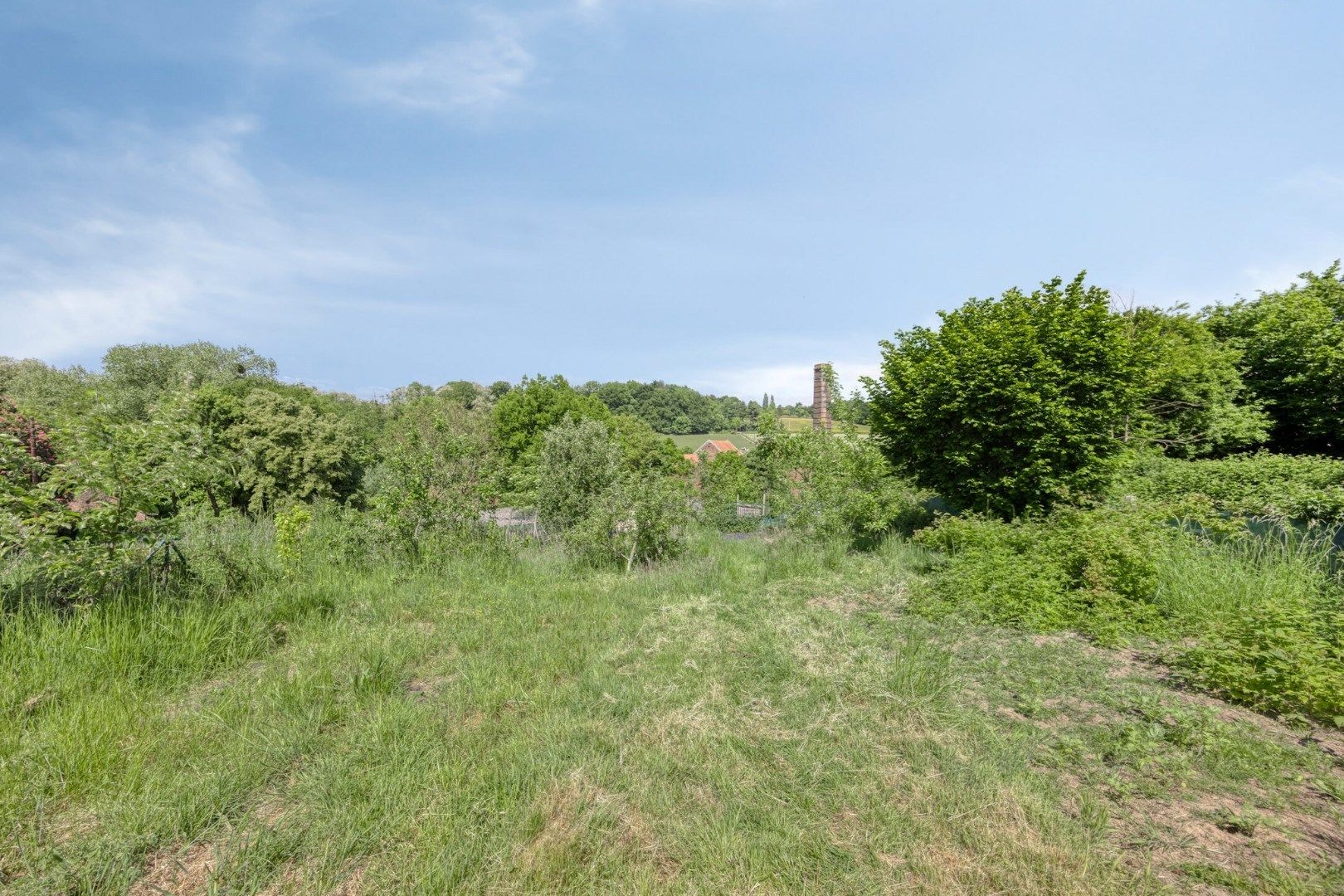 Gerenoveerde woning 3/4 kamers + garage 1652 ALSEMBERG (BEERSEL) foto 26