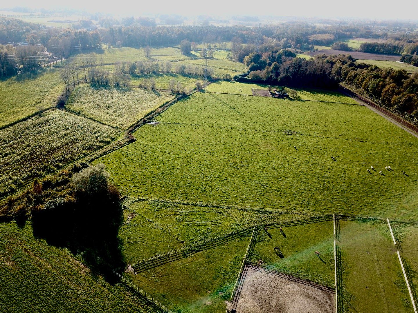 Bouwgrond vrijstaande woning te koop te Waasmunster foto 4