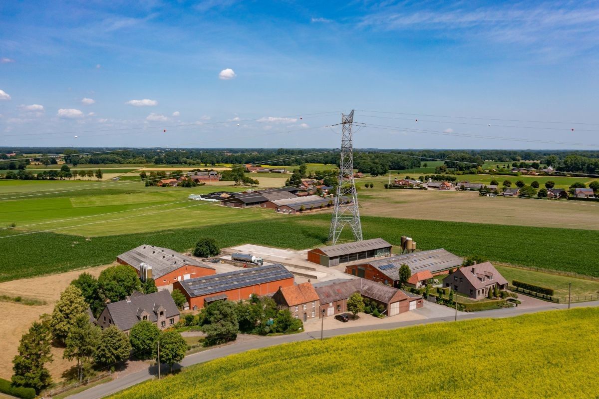 Hoeve met gronden te koop te Kinrooi foto 6