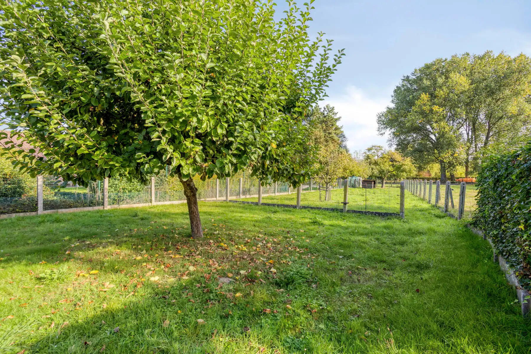 Half open bebouwing met 3 slaapkamers, garage en ruime tuin! foto 25