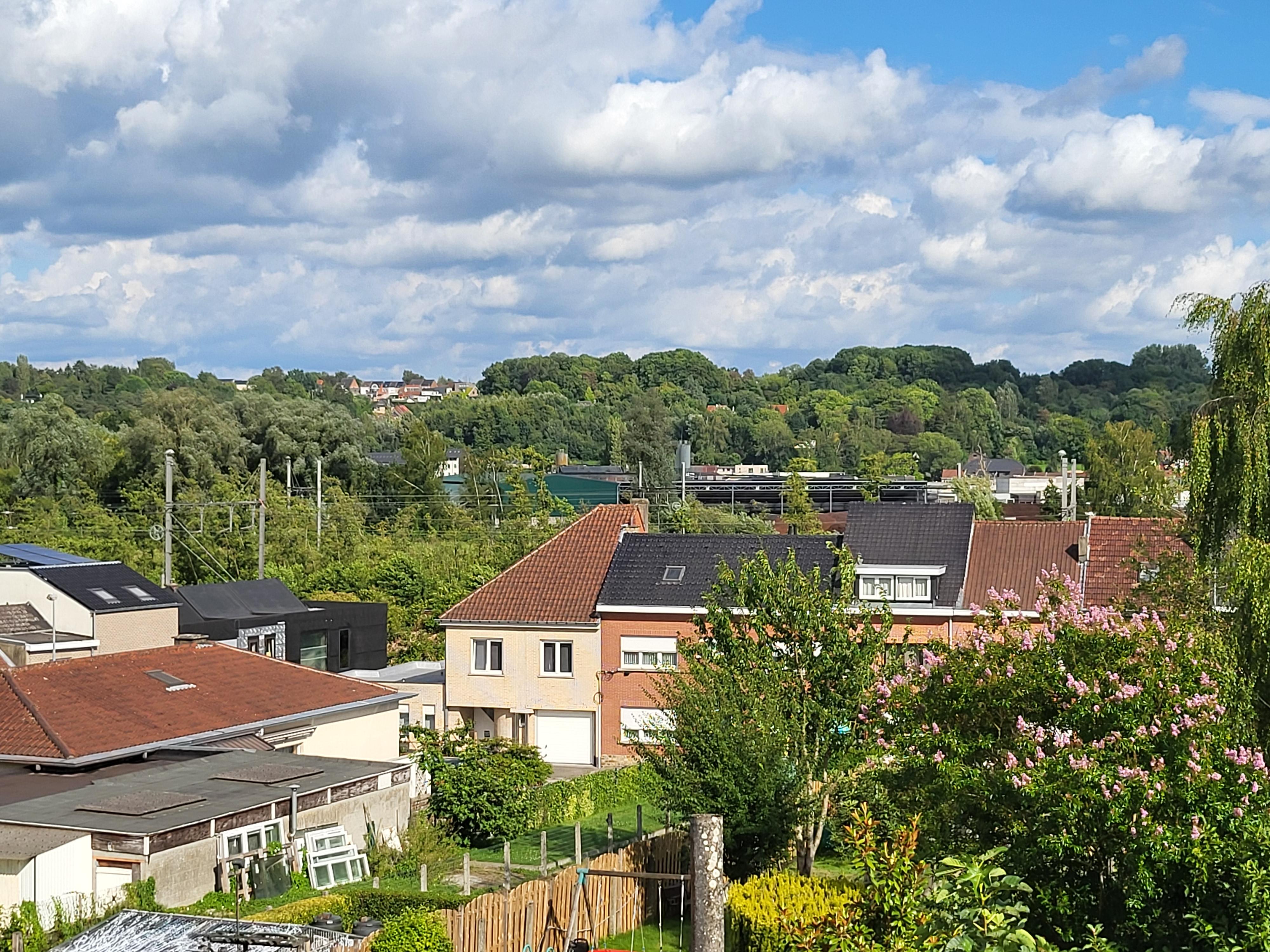 Prachtig gerenoveerde burgerwoning op wandelafstand van het centrum met zuidgerichte tuin.  foto 26