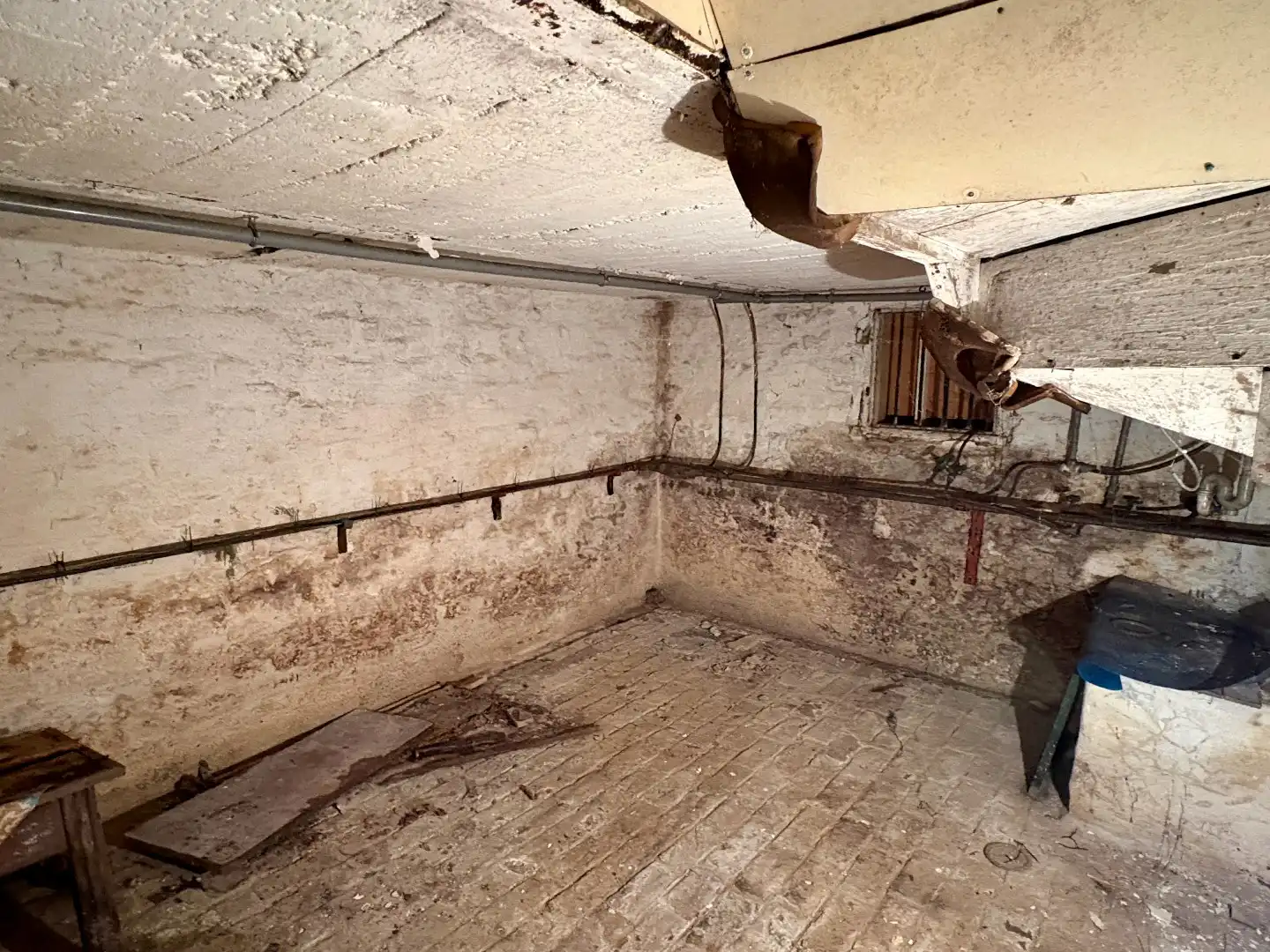 Renovatieproject op 767 m², met garage en uitweg.  foto 9