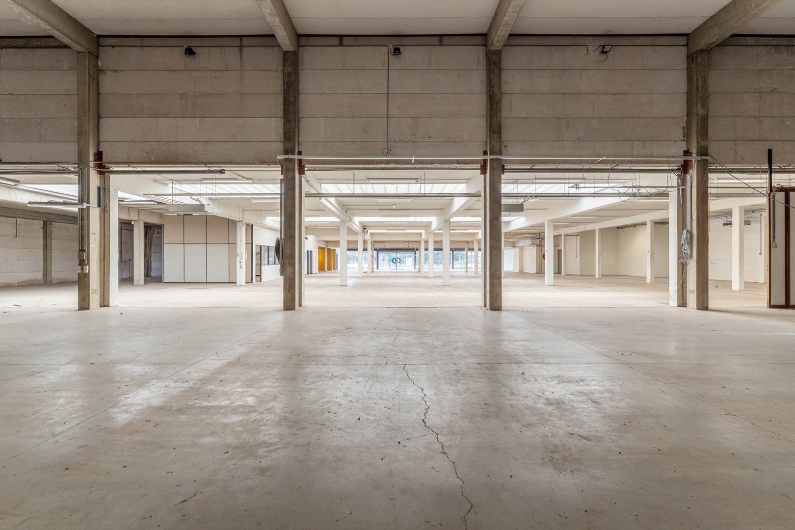 Bedrijfsgebouw (showroom/magazijn) met appartement gelegen op een perceel van 33a 50ca! foto 8