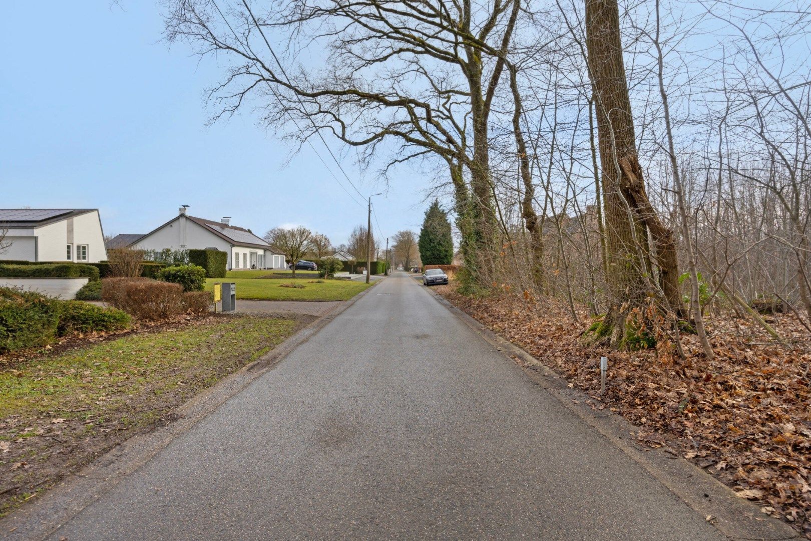 2 BOUWGRONDEN VOOR OPEN BEBOUWING EN ACHTERLIGGENDE GRONDEN in de bosrijke villabuurt op de Bosstraat te Lanaken!  foto 6