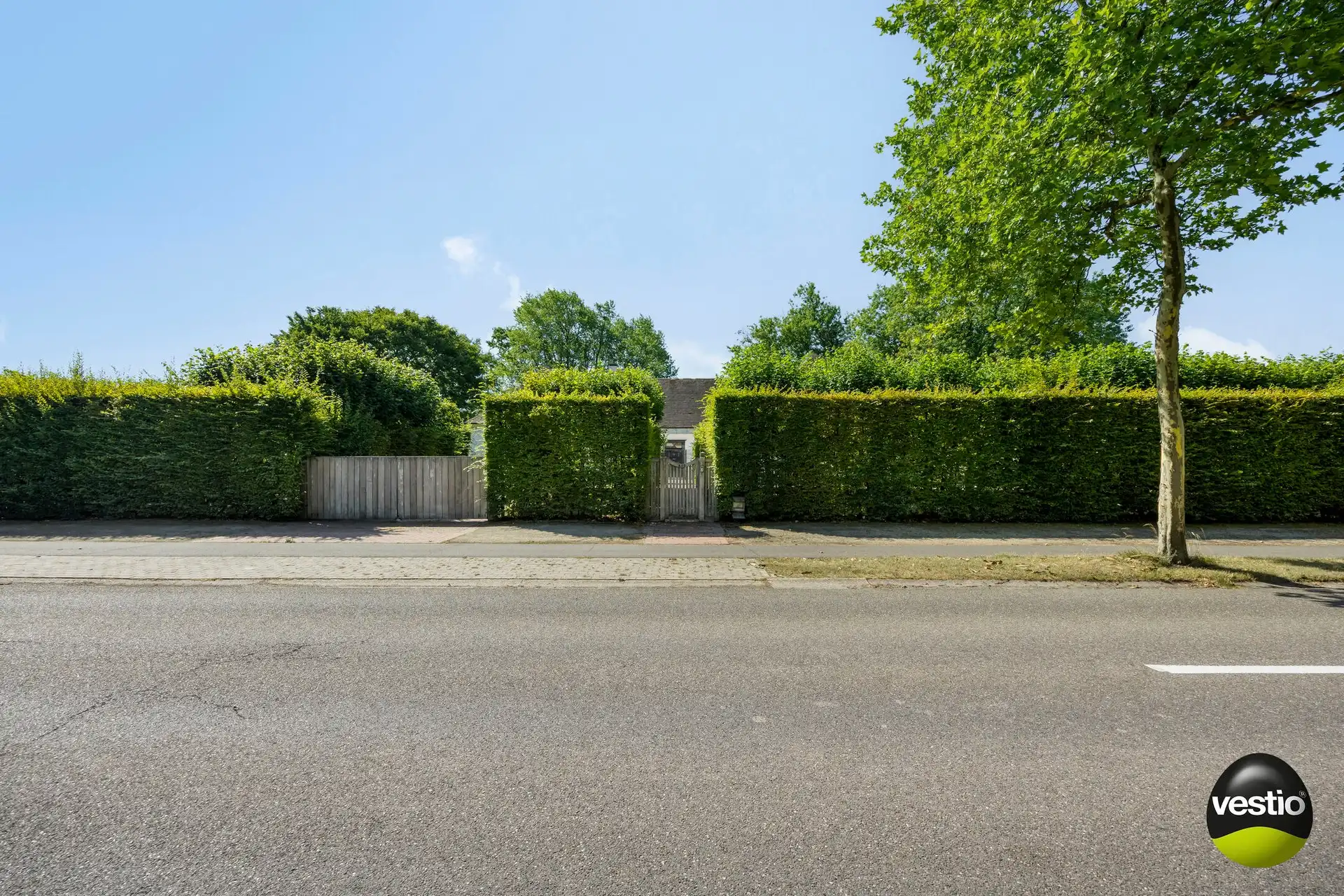 Exclusieve villa in bosrijke omgeving van Hasselt – 5.000 m² privacy en groen foto 7