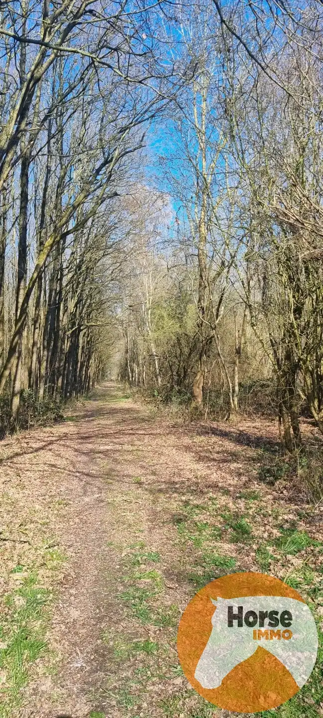 DIEPENBEEK - Unieke woning op +/- 52a foto 30