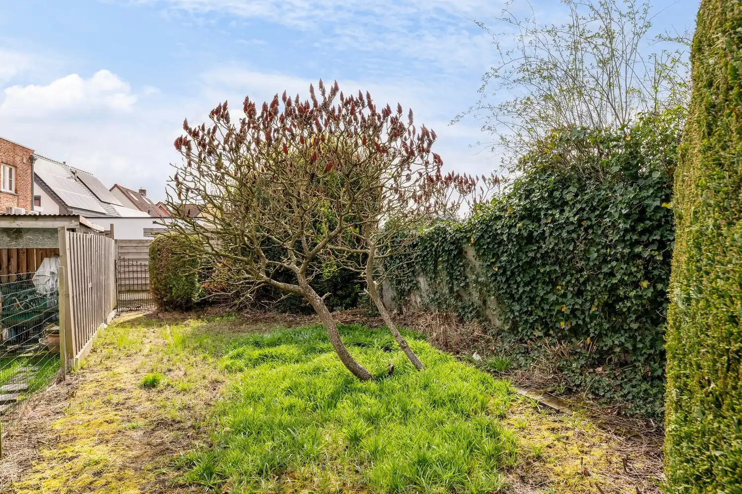 Charmante gezinswoning met grote tuin en eindeloze mogelijkheden! foto 12