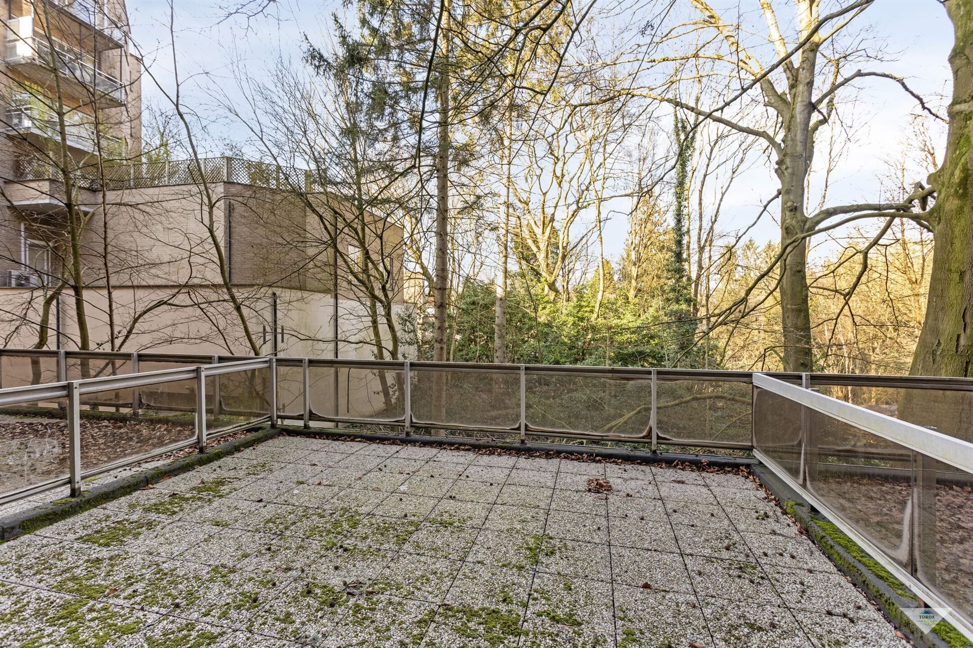 Aangename studio met groot terras en groen uitzicht foto 8