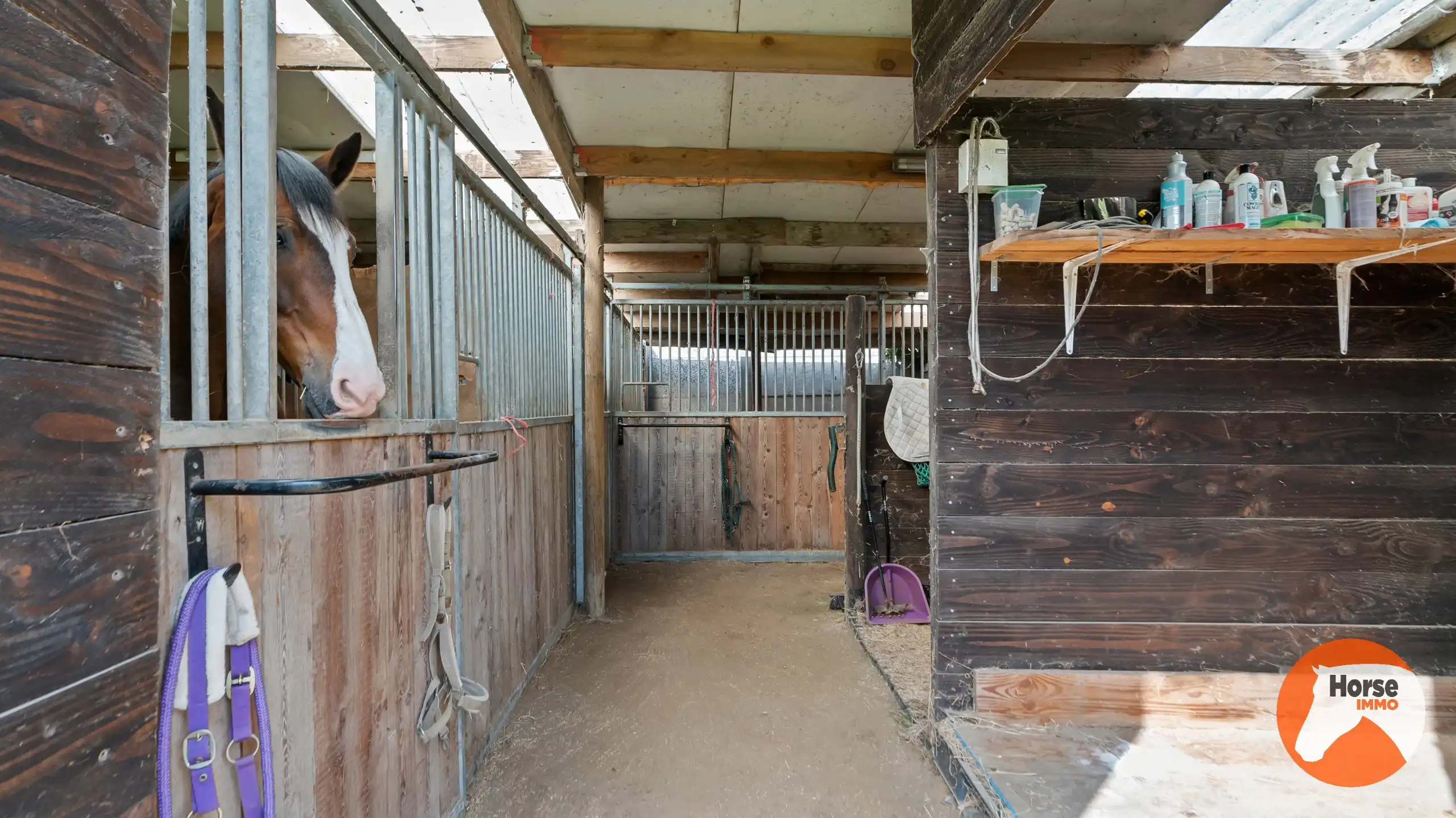 LEDE - Instapklare woning met stallen op 41are foto 29