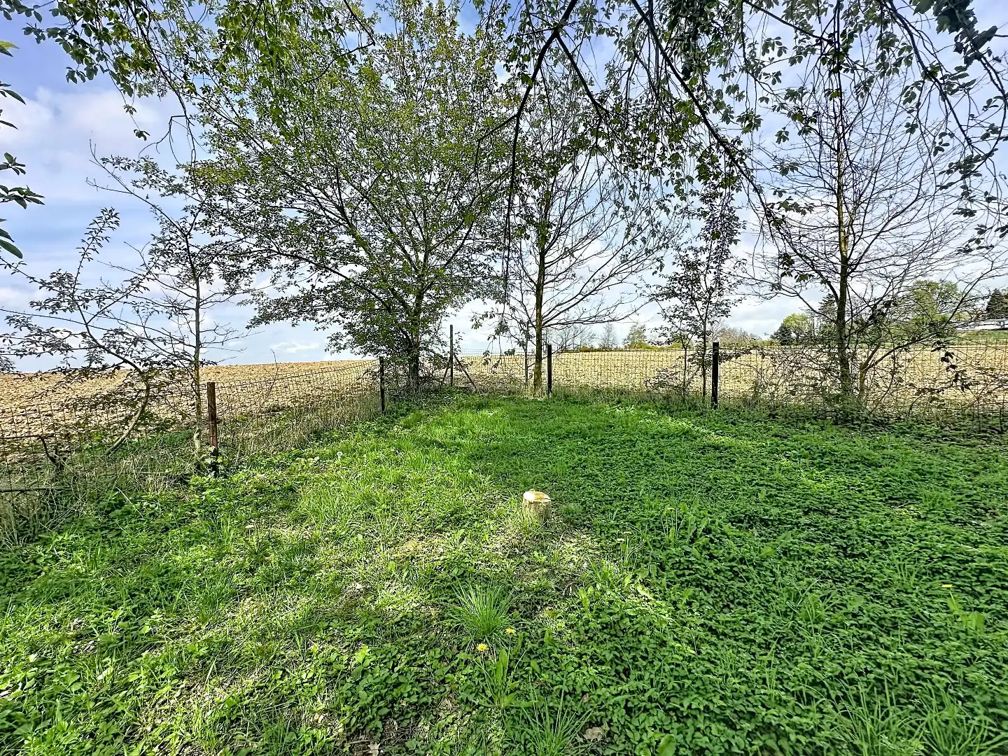 Uniek gelegen woning met adembenemende verzichten in het groene Bierbeek foto 27