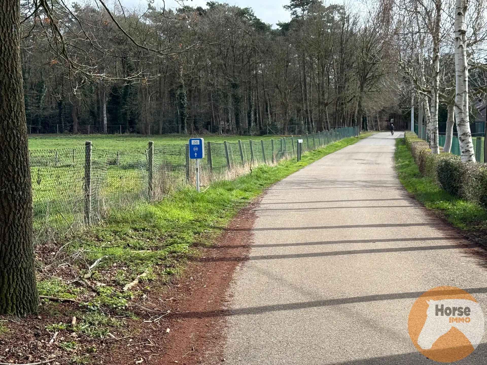 HELCHTEREN - Weiland met schuilstallen nabij ruiterpaden foto 8