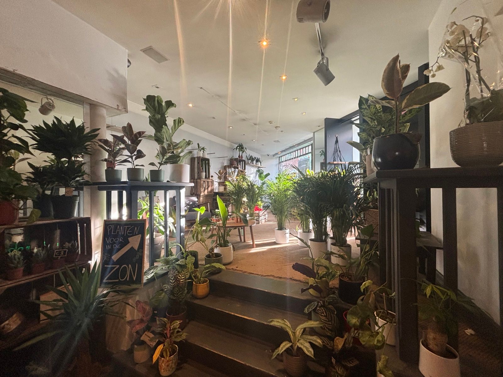 Handelsopportuniteit Bondgenotenlaan Leuven foto 5