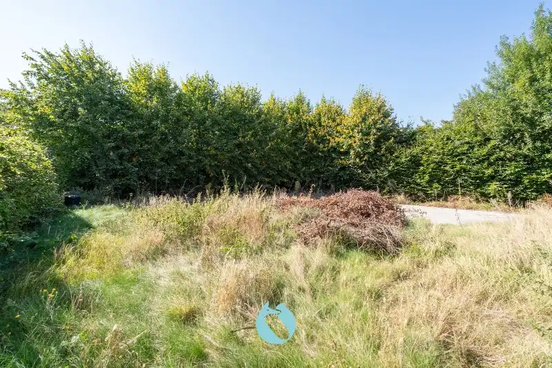 Unieke ontwikkelingsopportuniteit in het hart van Sleidinge foto 8