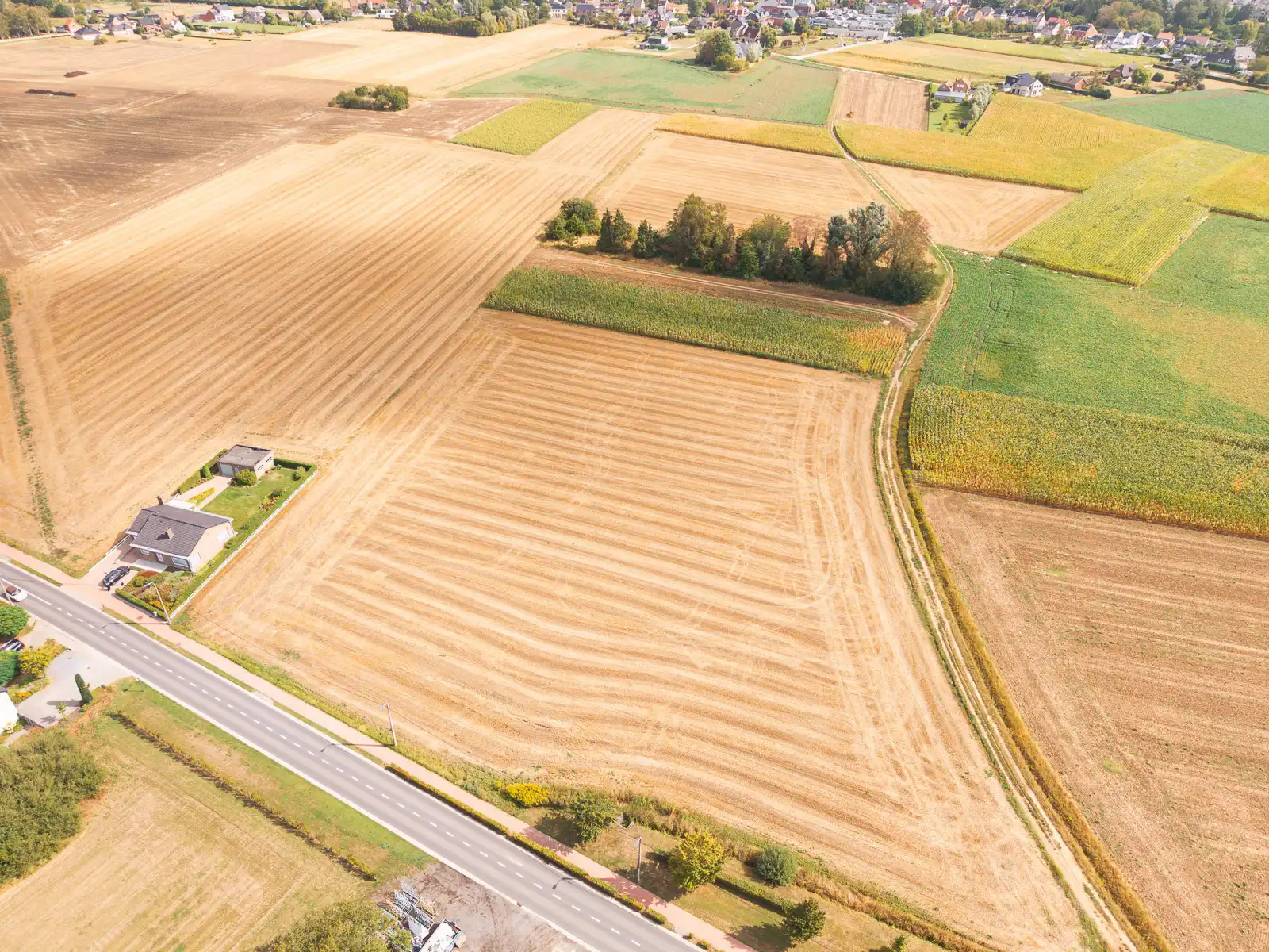 Goed gelegen perceel landbouwgrond in Kampenhout foto 5