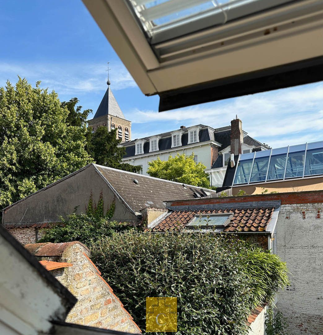 Breedhuis op een schilderachtige en stille ligging in het hart van de binnenstad, met flinke garage en grote stadstuin foto 25