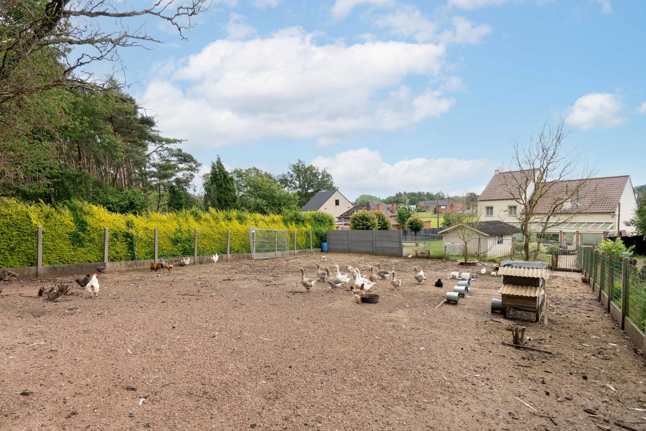 Vrijstaande woning met veel potentieel op perceel van 14a foto 15