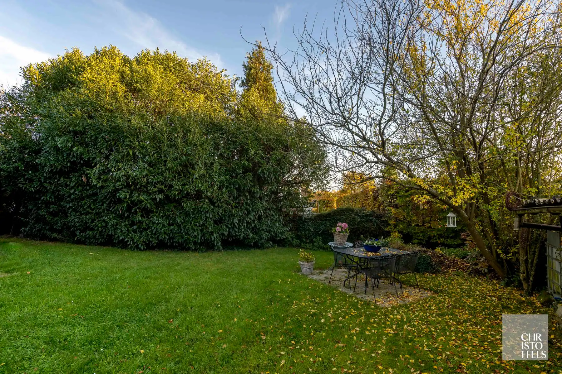 Ruim perceel (1.257 m²) met (ver)bouwpotentieel in het groene Zutendaal! foto 11