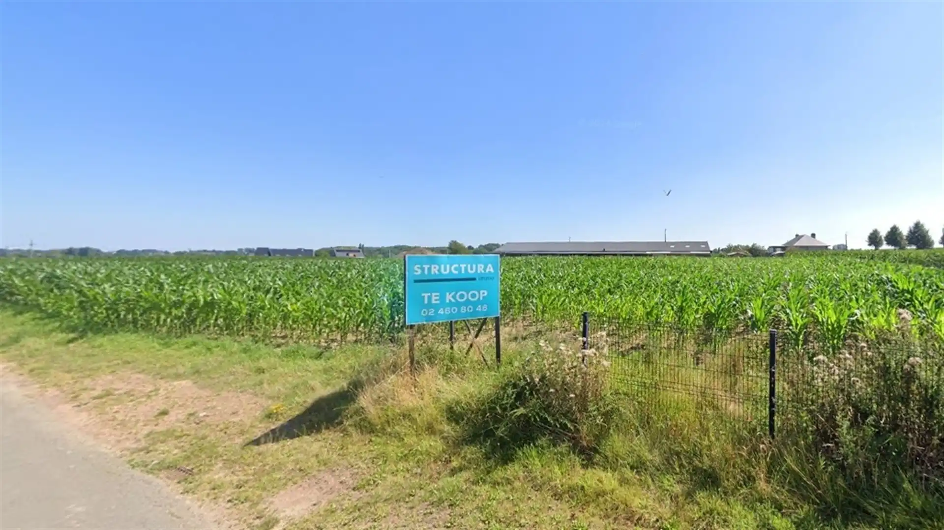 Bouwgrond voor open bebouwing in het groen foto 3