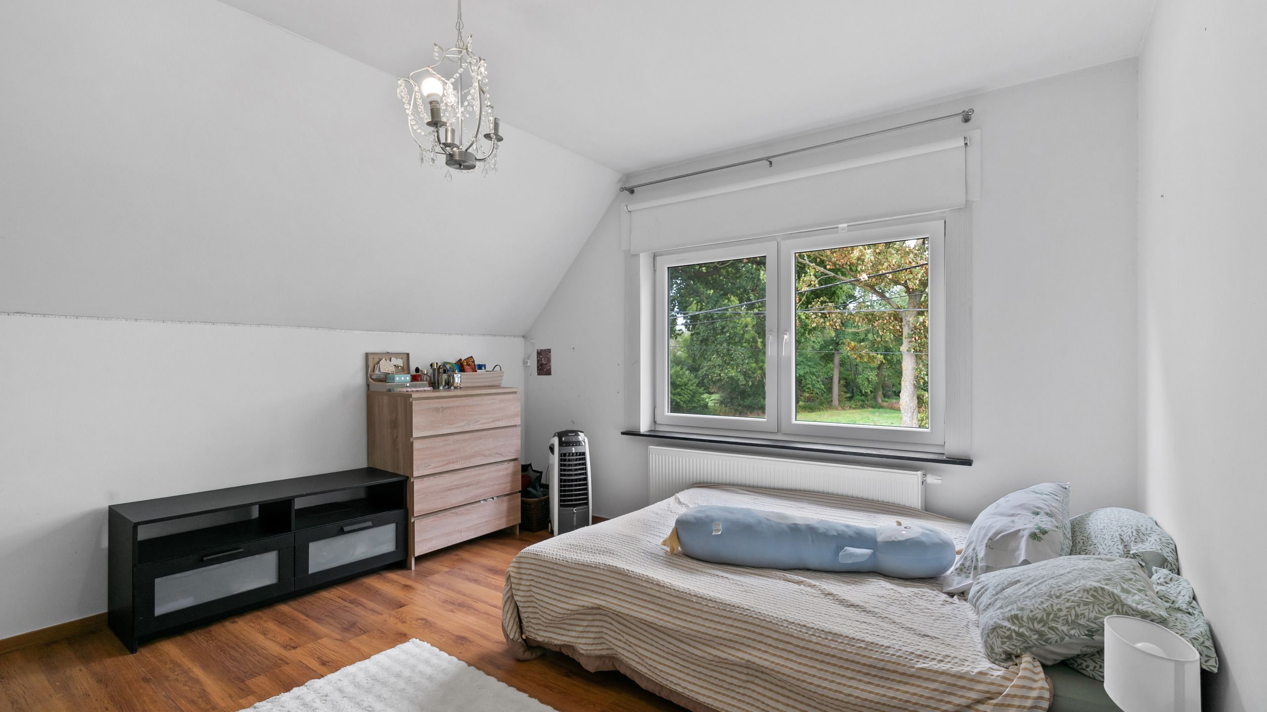 Huis te koop foto 10