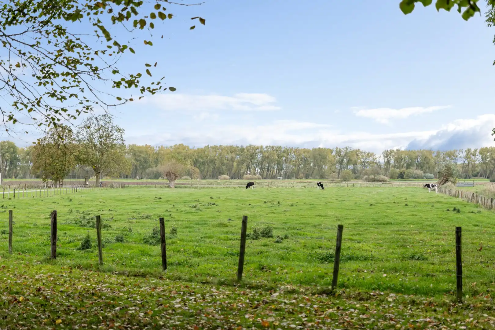 Exclusief landhuis “Reigershof” met bijgebouw en uniek domein te Damme foto 25