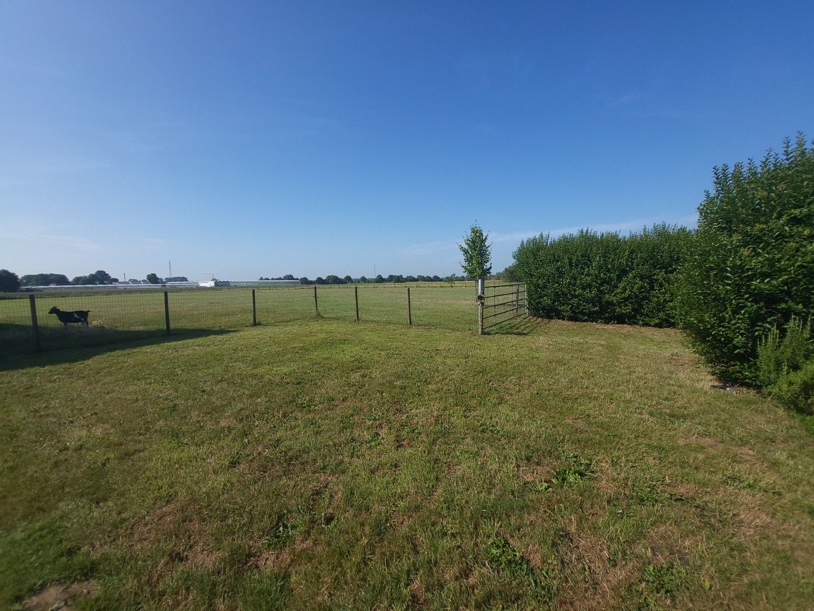 Alleenstaande woning met grote weide en stalling foto 25