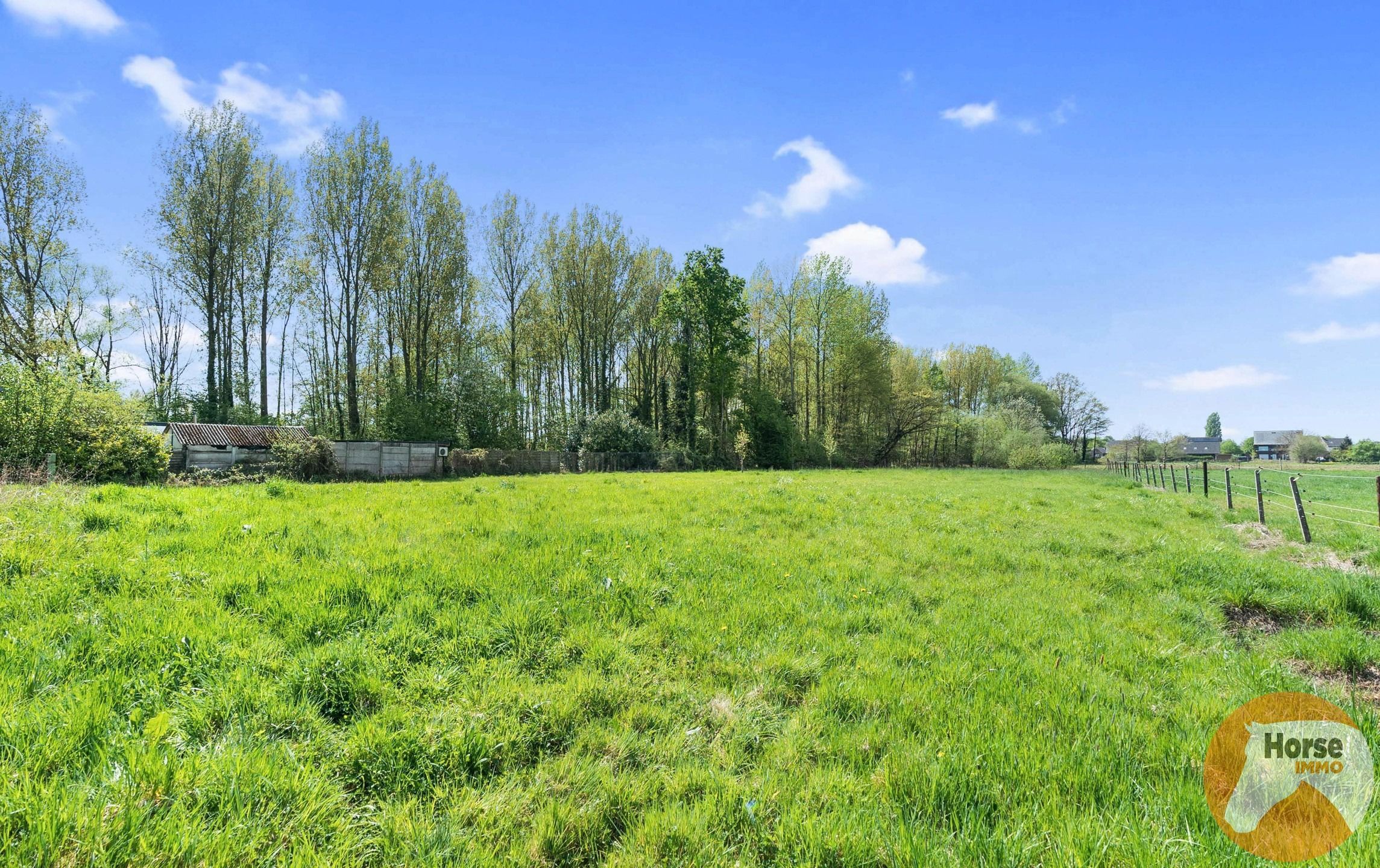 WILSELE - Woning voor afbraak en heropbouw op 41a foto 4