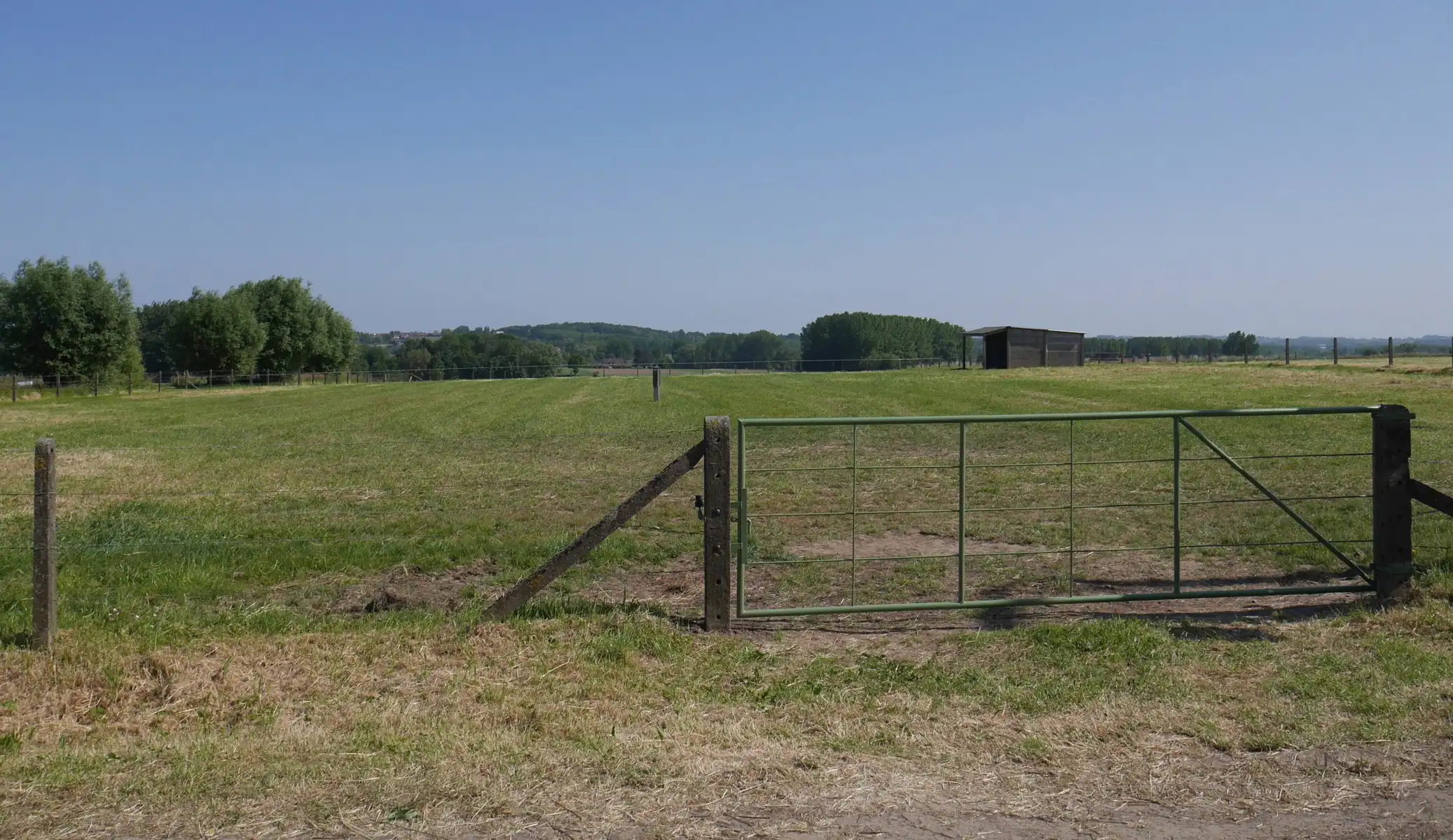 Zeer vlot bereikbare weide foto 14