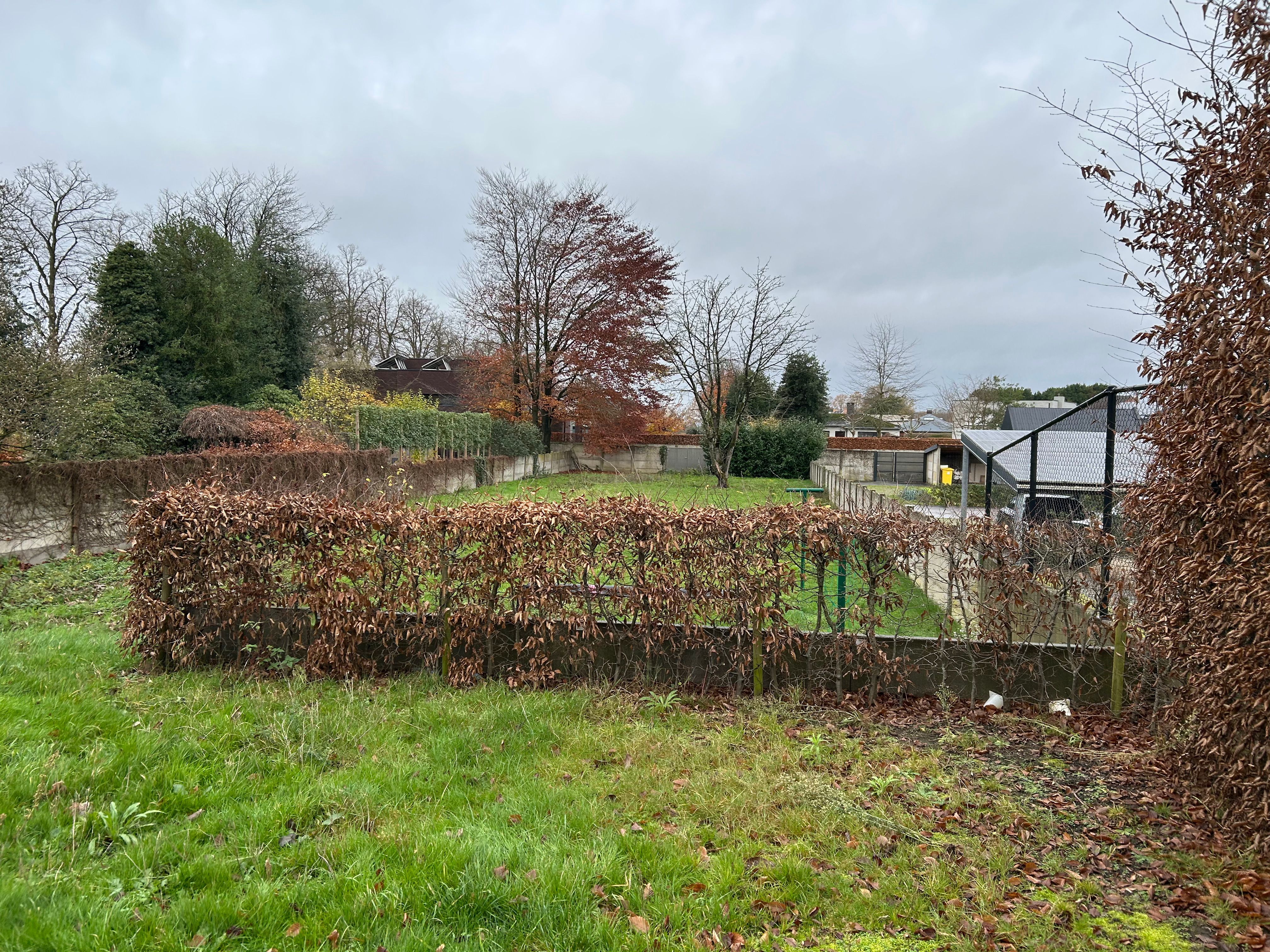 Open bebouwing op wandelafstand van centrum foto 29